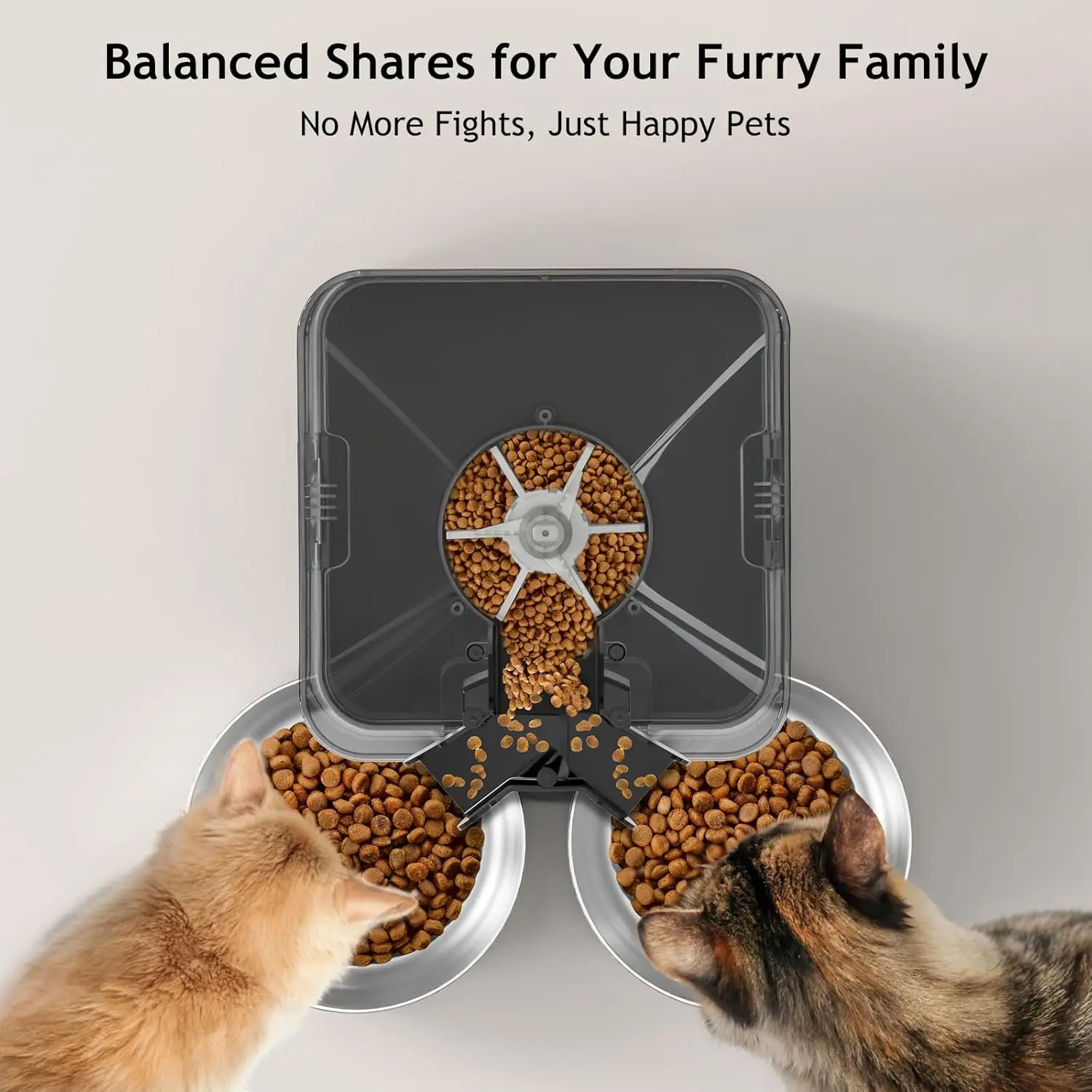 6L Automatic Cat Feeder for Tw - Automatic Cat Feeder 6L Timed 评论和价格