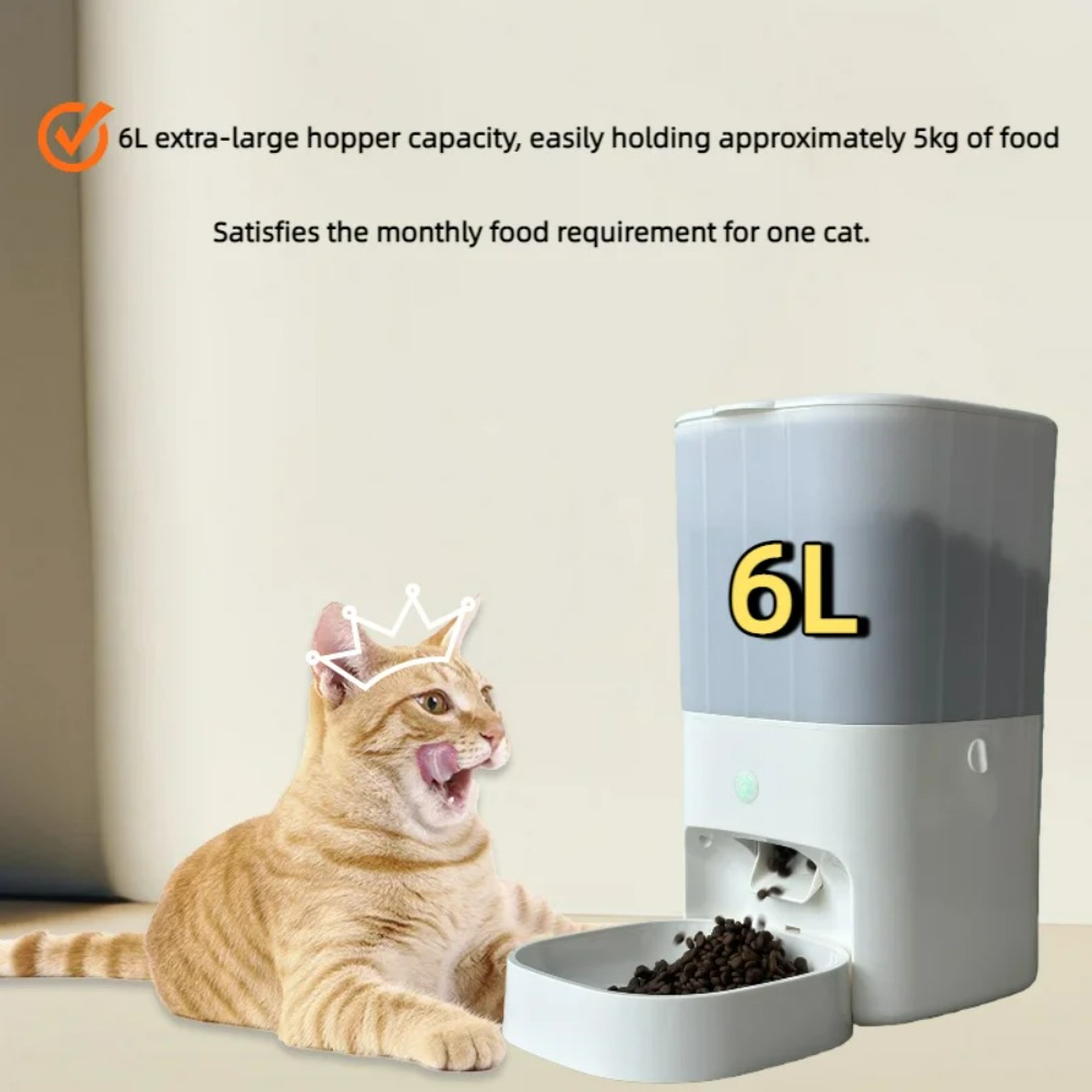 6L Automatic Timed Feeder Pet  - Automatic Cat Feeder 6L Timed 评论和价格