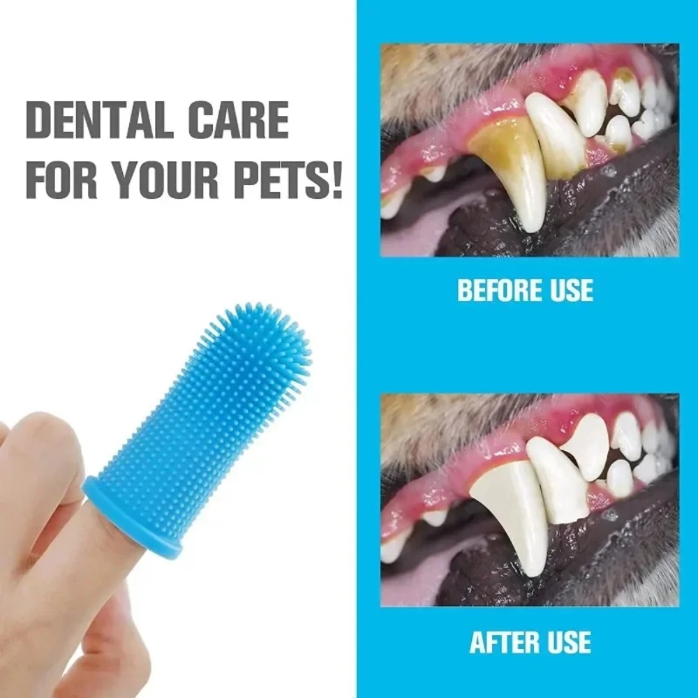 Pet Finger Toothbrush, Silicon - Pet Fountain Cleaning Kit 评论和价格