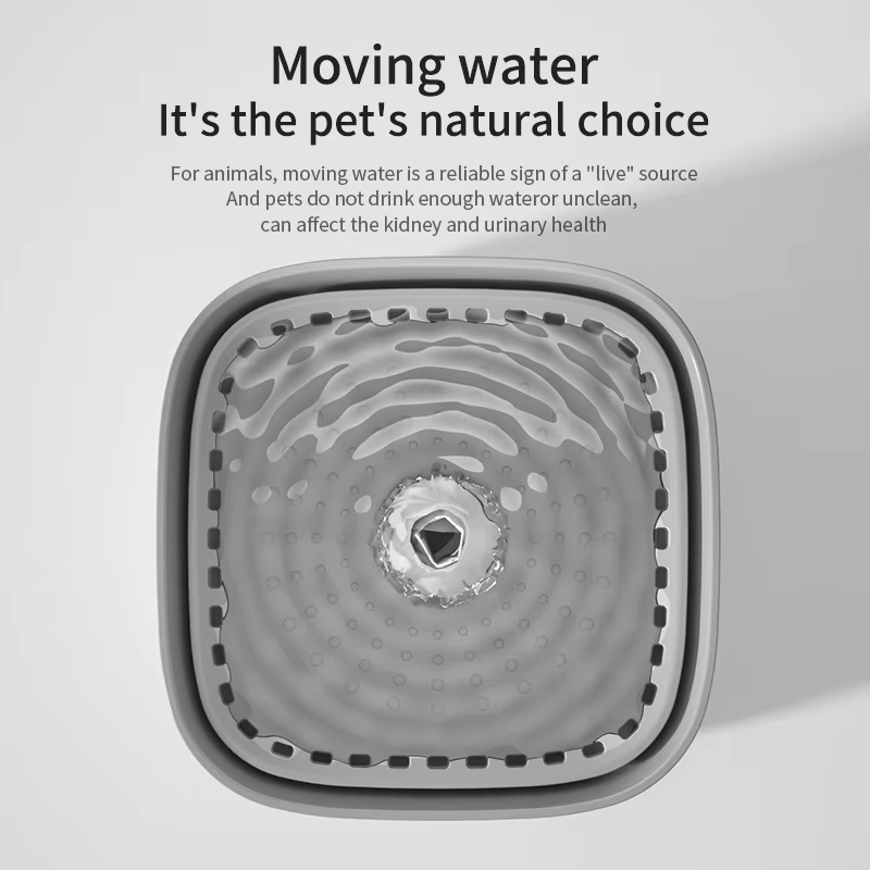 101oz/3L Pet Water Fountain Au - Automatic Cat Water Dispenser 3L 评论和价格
