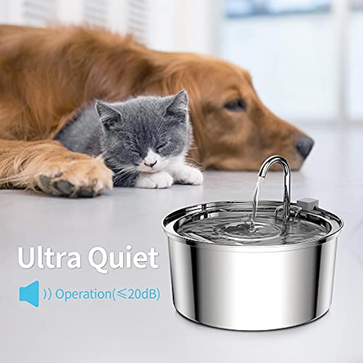 Blurams Indoor Security Camera - Smart Pet Feeder Camera Wifi 评论和价格