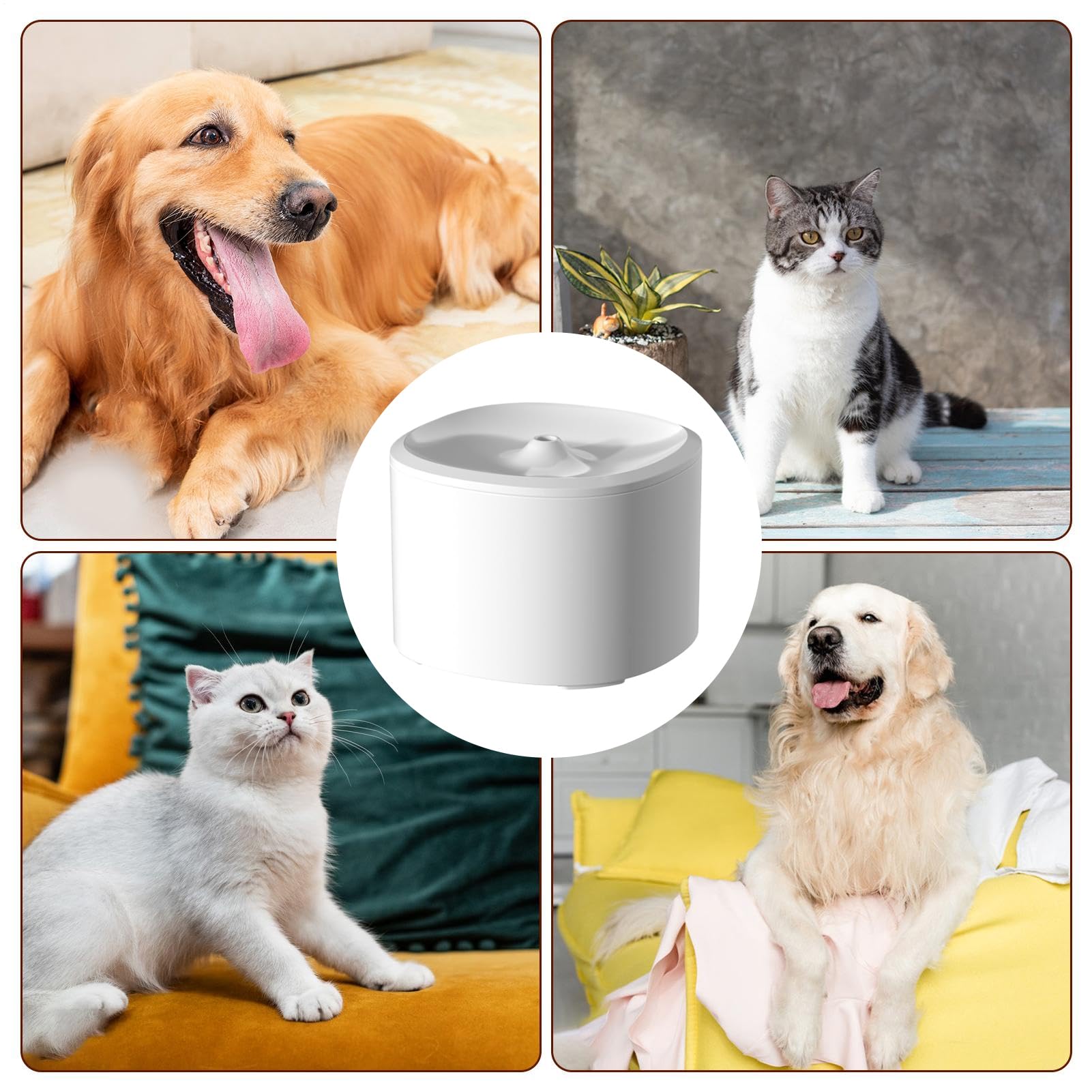Cat Water Fountain | 3L Quiet  - Automatic Cat Water Dispenser 3L 评论和价格