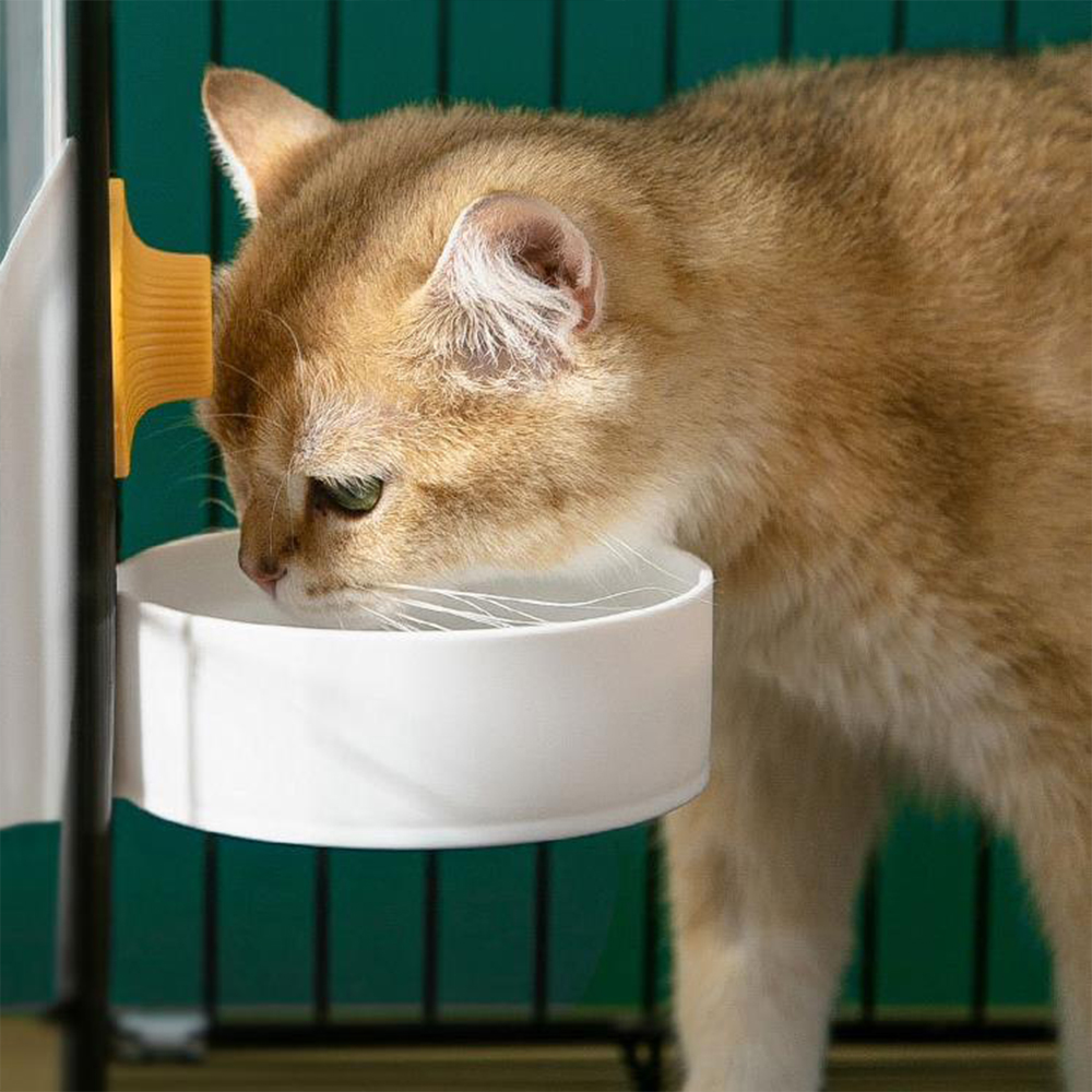 Large Capacity Cat Cage Hangin - Dog Water Fountain Large 评论和价格