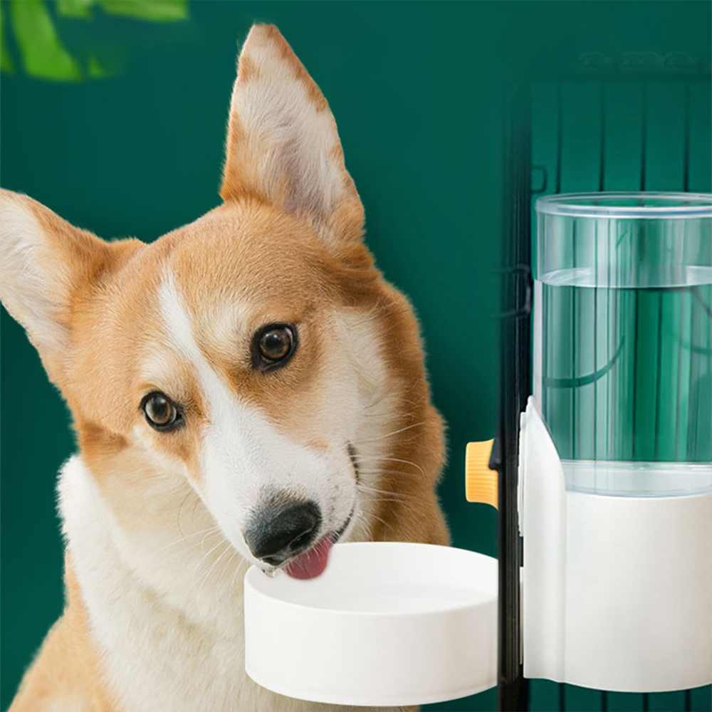 Large Capacity Cat Cage Hangin - Dog Water Fountain Large 评论和价格
