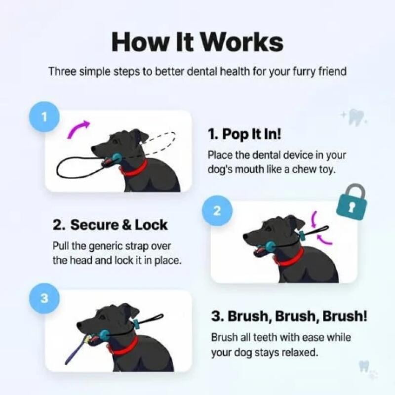 Dual Function Pet Dental Chew  - Pet Fountain Cleaning Kit 评论和价格