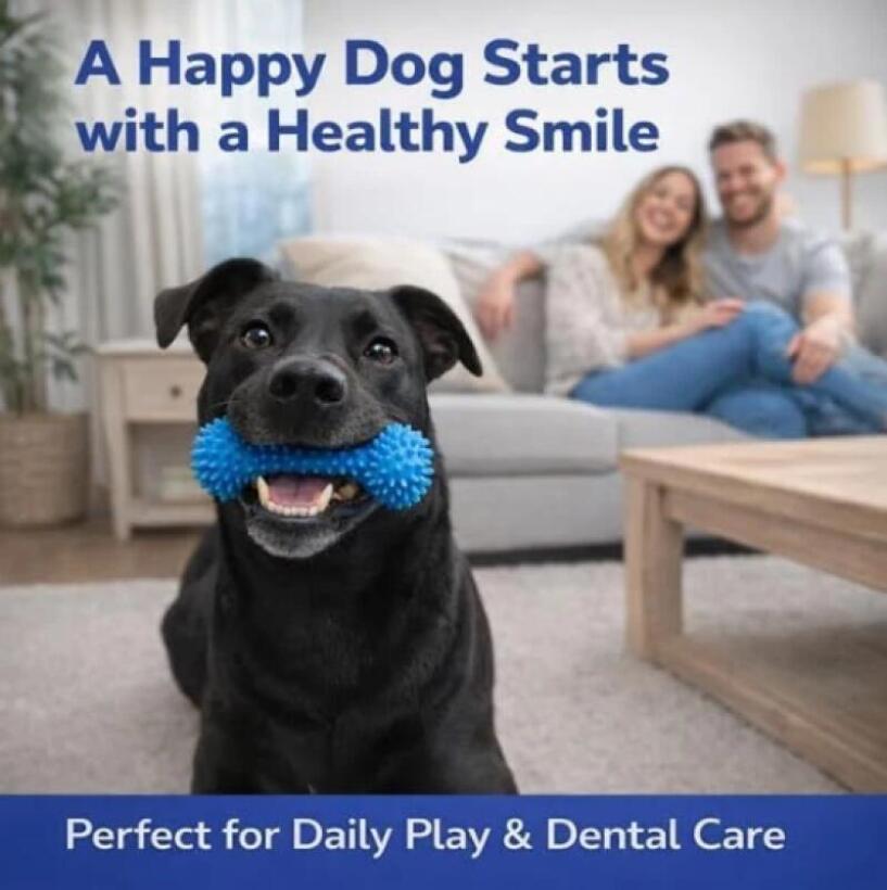 Dual Function Pet Dental Chew  - Pet Fountain Cleaning Kit 评论和价格