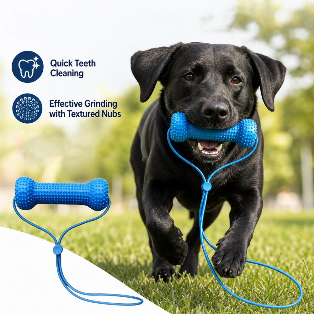 Pet Dental Care Chewing Toy 2i - Pet Fountain Cleaning Kit 评论和价格