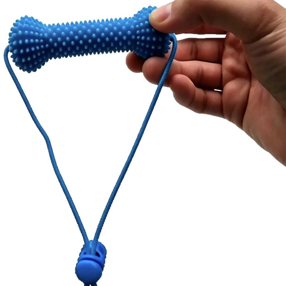 Pet Dental Care Chewing Toy 2i - Pet Fountain Cleaning Kit 评论和价格