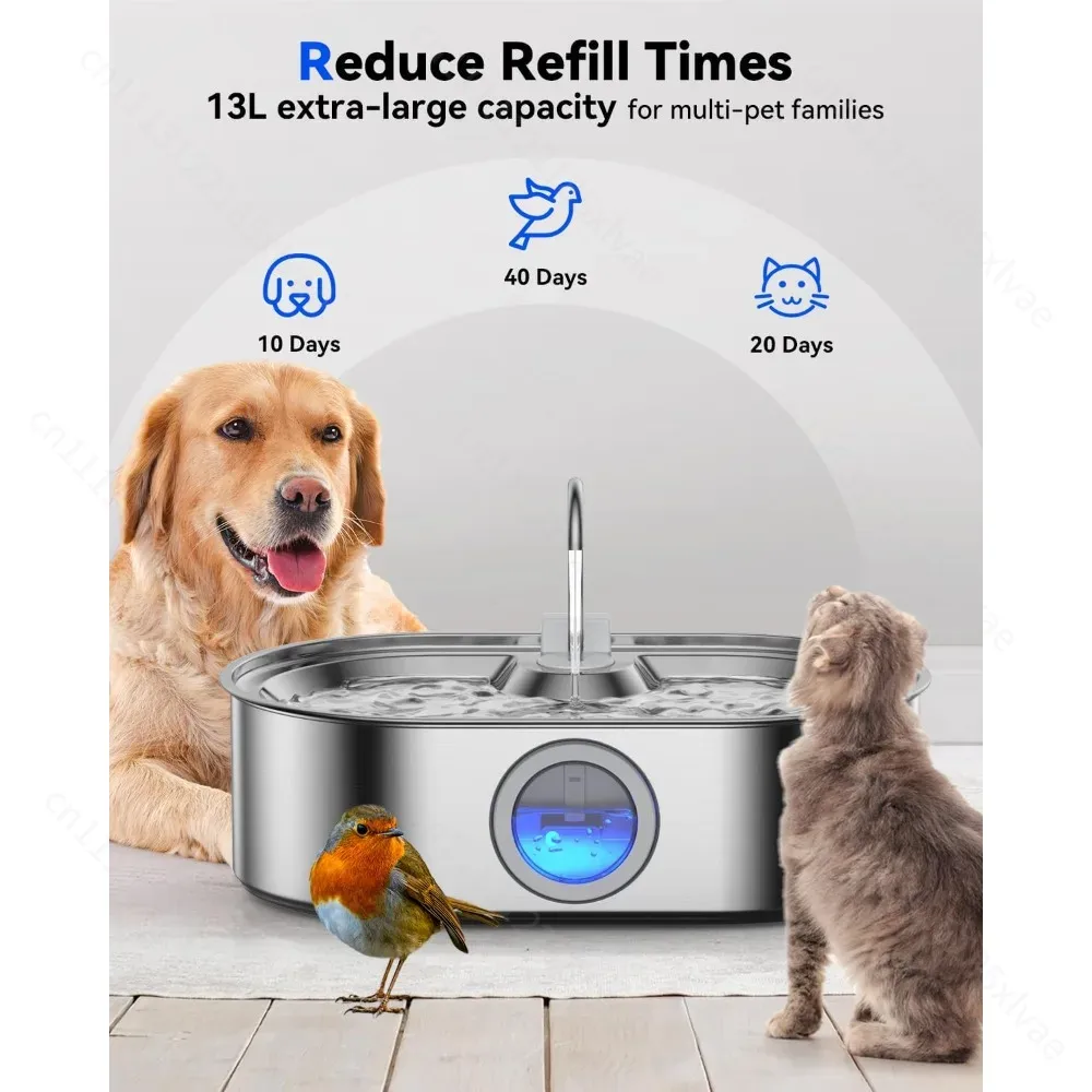 13L Stainless Steel Automatic  - Dog Water Fountain Large 评论和价格