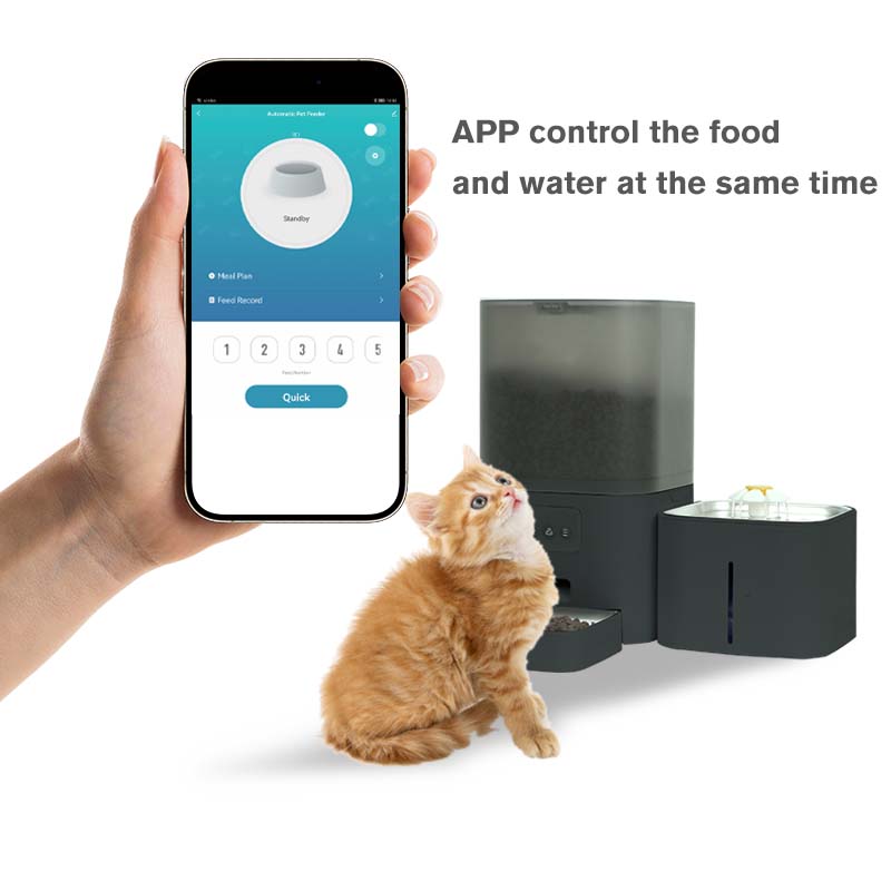 Wifi APP Control Voice Call Fu - Automatic Cat Feeder 6L Timed 评论和价格
