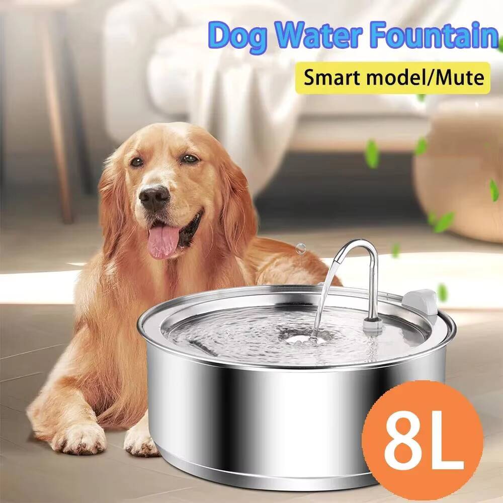 8L Dog Fountain Stainless Stee - Dog Water Fountain Large 评论和价格