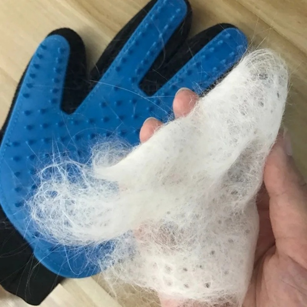 Pet Cat Dog Grooming Gloves Ca - Pet Fountain Cleaning Kit 评论和价格