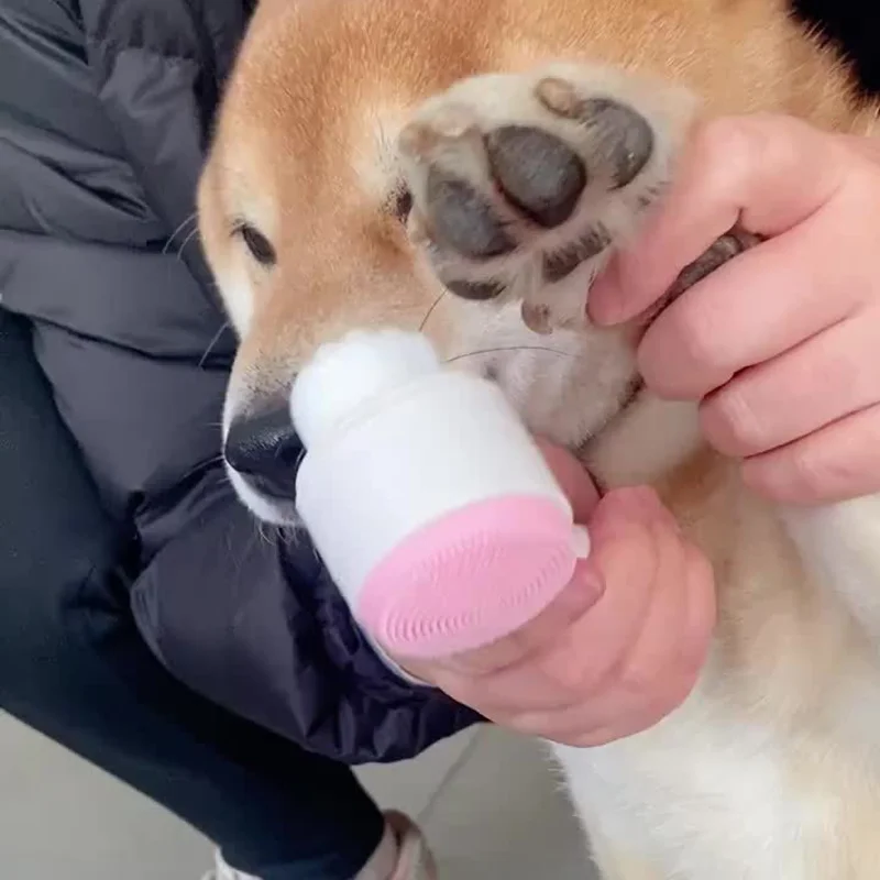Pet Paw Cleaning Brush, Dog Fo - Pet Fountain Cleaning Kit 评论和价格