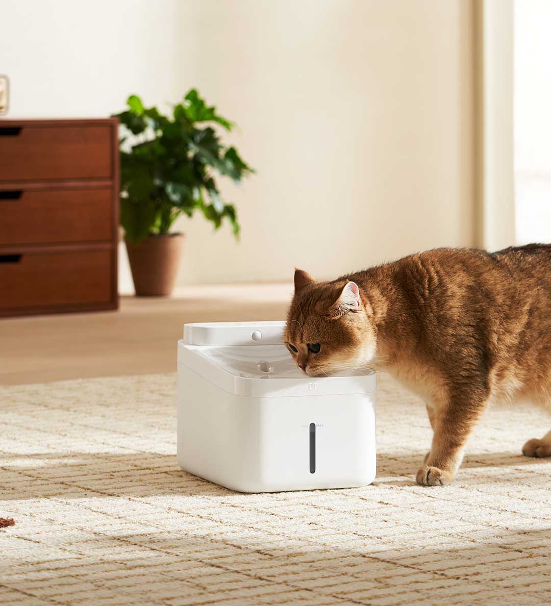 New MIJIA Smart Pet Drinking F - Wireless Pet Water Fountain Battery 评论和价格