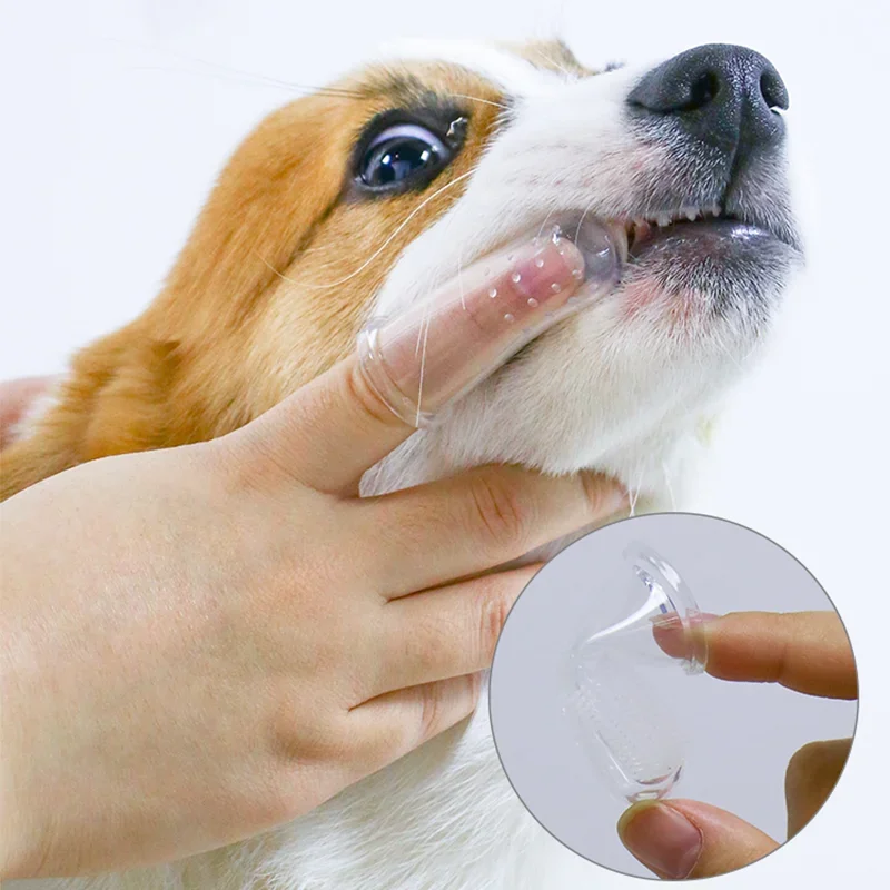 Super Soft Pet Finger Toothbru - Pet Fountain Cleaning Kit 评论和价格