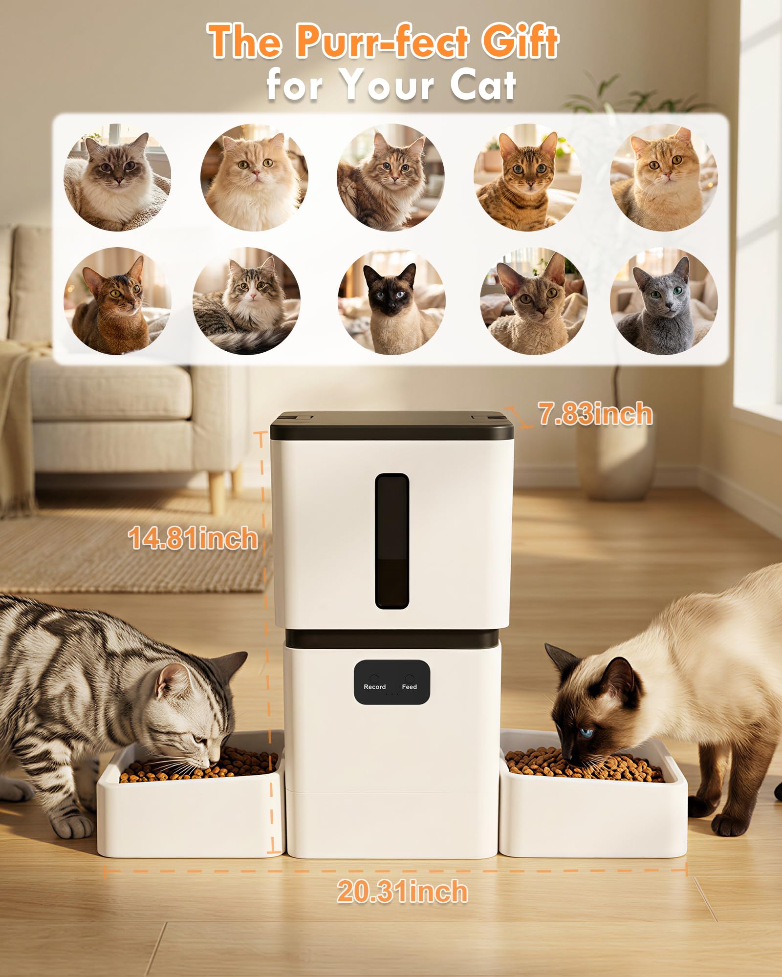 5GHz WiFi 8L Smart Automatic P - Smart Pet Feeder Camera Wifi 评论和价格